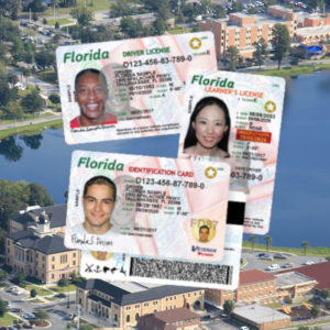 Driver License & ID Card Renewals, Vehicle Titles