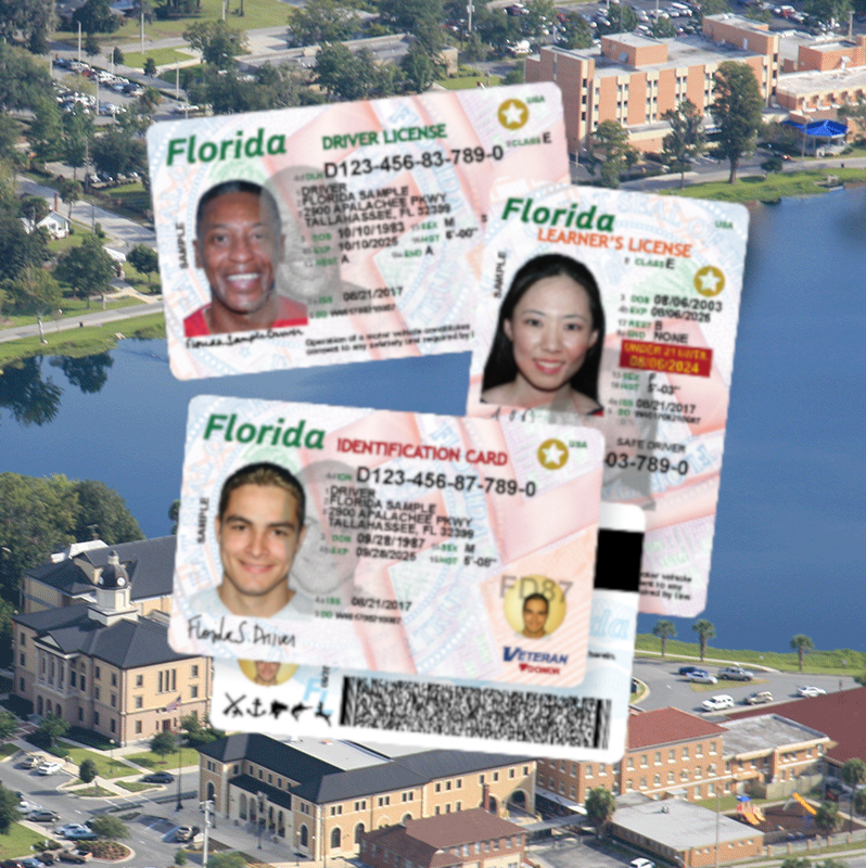 miami drivers license check