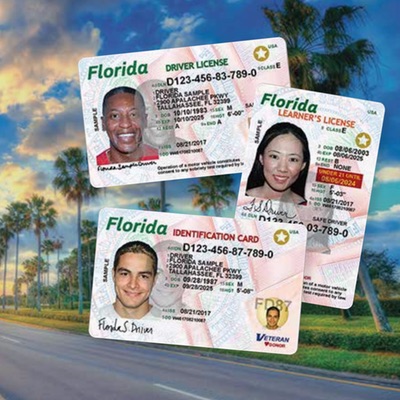 Example of Florida Driver Licenses